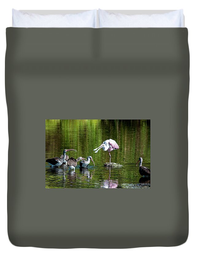 Roseate Spoonbill Duvet Cover featuring the photograph Feeding Etiquette by Norman Johnson
