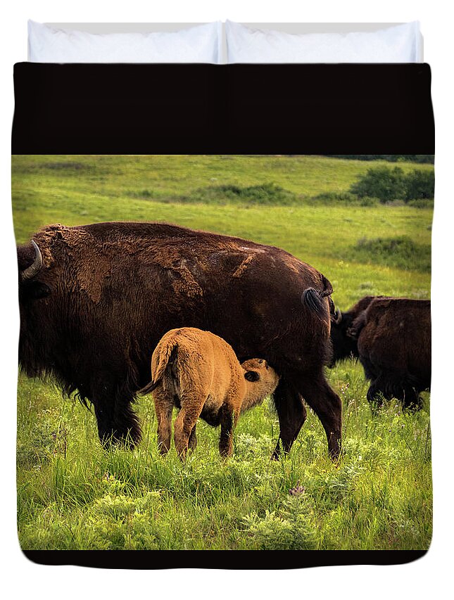 Jay Stockhaus Duvet Cover featuring the photograph Feeding Time by Jay Stockhaus