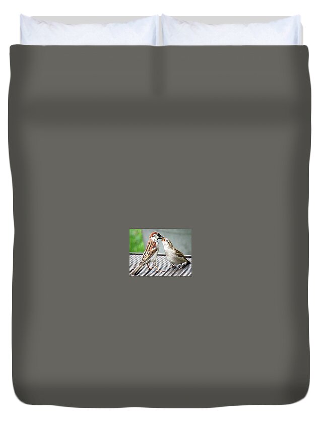 House Sparrows Duvet Cover featuring the photograph Feeding Time by Linda Stern