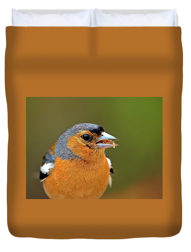 Birds Duvet Cover featuring the photograph Feeding Time by Richard Denyer