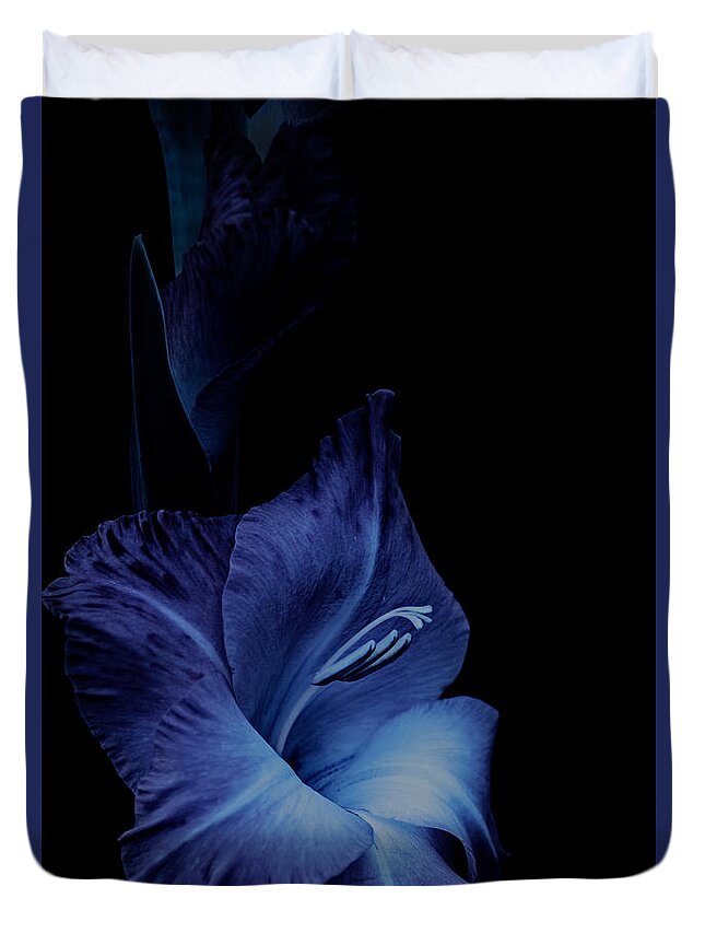 Blue Duvet Cover featuring the photograph Feeling Blue by Richard Macquade