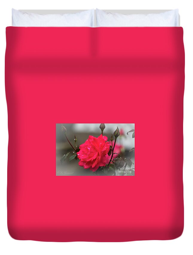 Rose Duvet Cover featuring the photograph Feeling Rosy by Les Greenwood