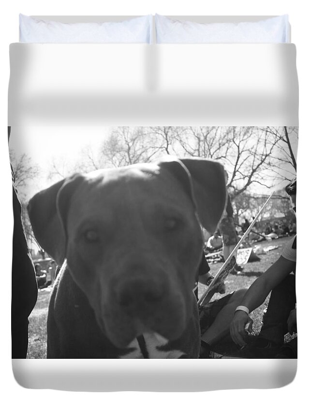 Dog Duvet Cover featuring the photograph Felix by J C