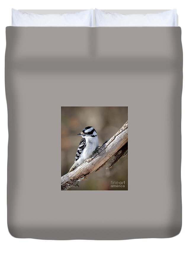 Woodpecker Duvet Cover featuring the photograph Female Downy Woodpecker by Amy Porter