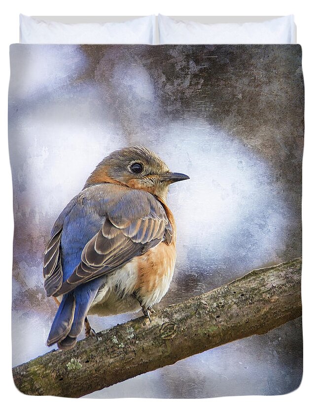 Bird Duvet Cover featuring the photograph Female Eastern Bluebird by Bill and Linda Tiepelman