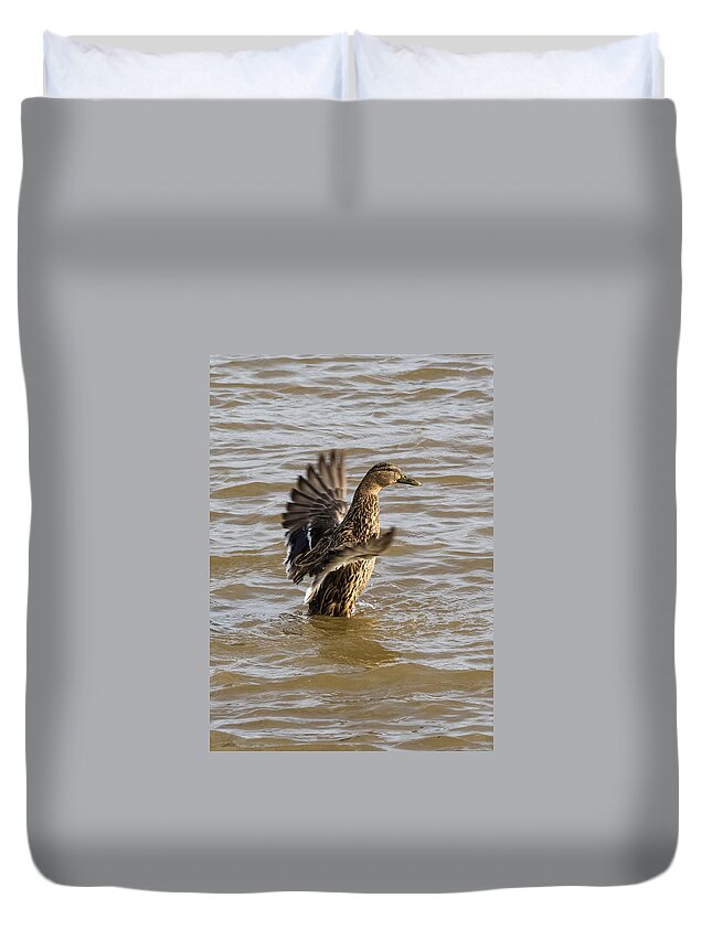Jan Holden Duvet Cover featuring the photograph Female Mallard by Holden The Moment