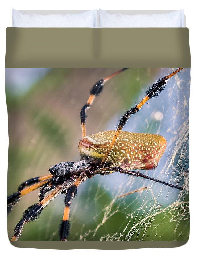 America Duvet Cover featuring the photograph Female Nephila clavipes by Traveler's Pics