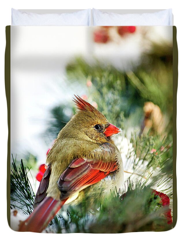 Cardinal Duvet Cover featuring the photograph Female Northern Cardinal by Christina Rollo
