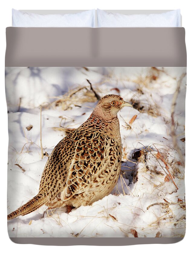 Bird Duvet Cover featuring the photograph Female Ring Necked Pheasant by Alyce Taylor