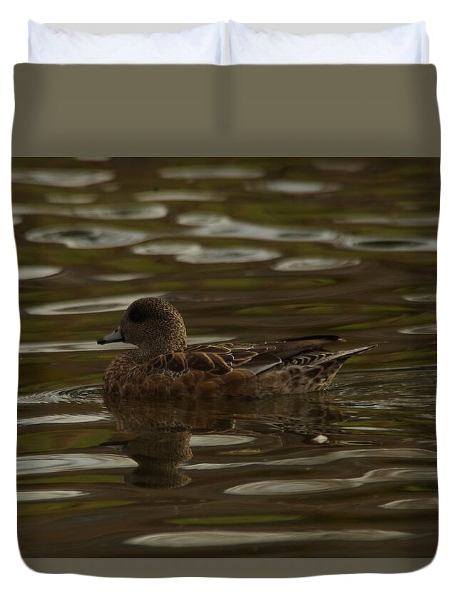 American Wigeon Duvet Cover featuring the photograph Female Wigeon by Jeff Swan