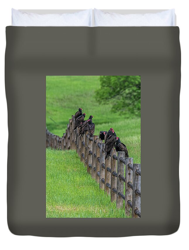Vulture Duvet Cover featuring the photograph Fence Full by Paul Freidlund