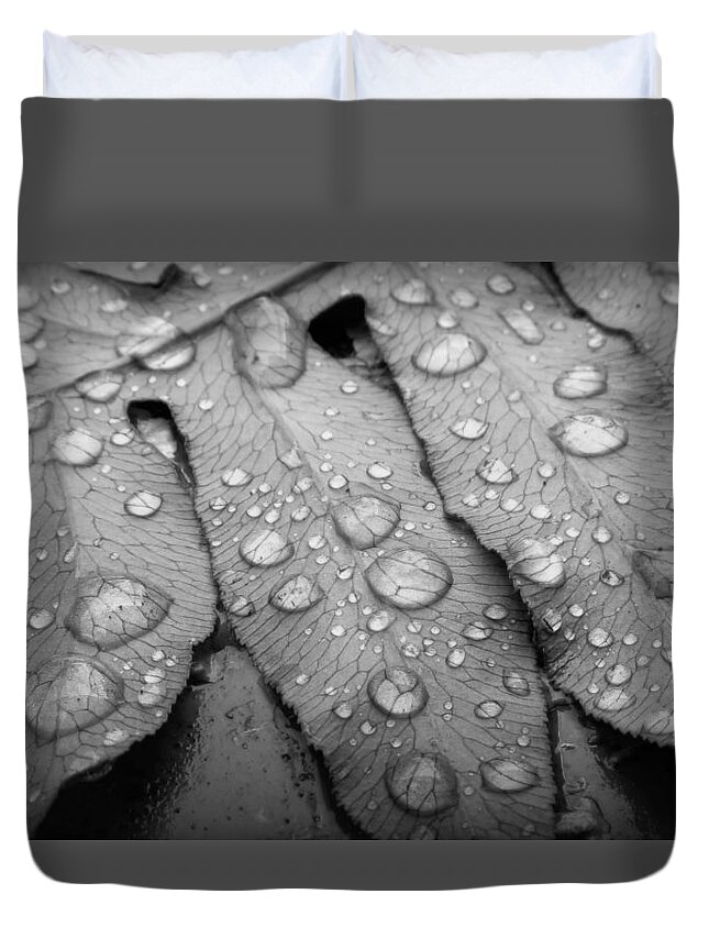 Nature Duvet Cover featuring the photograph Fern Drops in Black and White by Deborah Smith