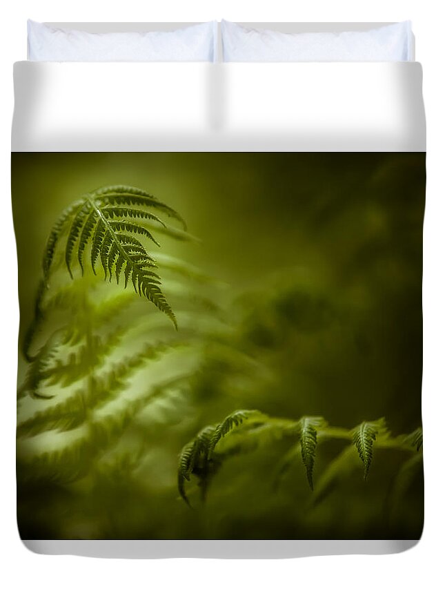 Fern Duvet Cover featuring the photograph Fern Encounter by Chris Bordeleau
