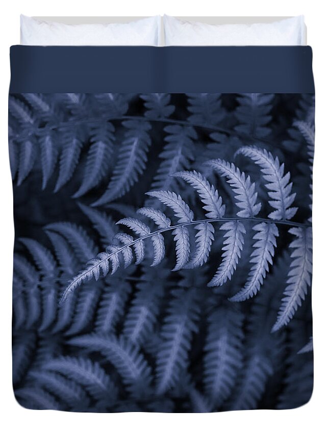 Fern In Blue Duvet Cover featuring the photograph Fern in Blue by Rachel Cohen