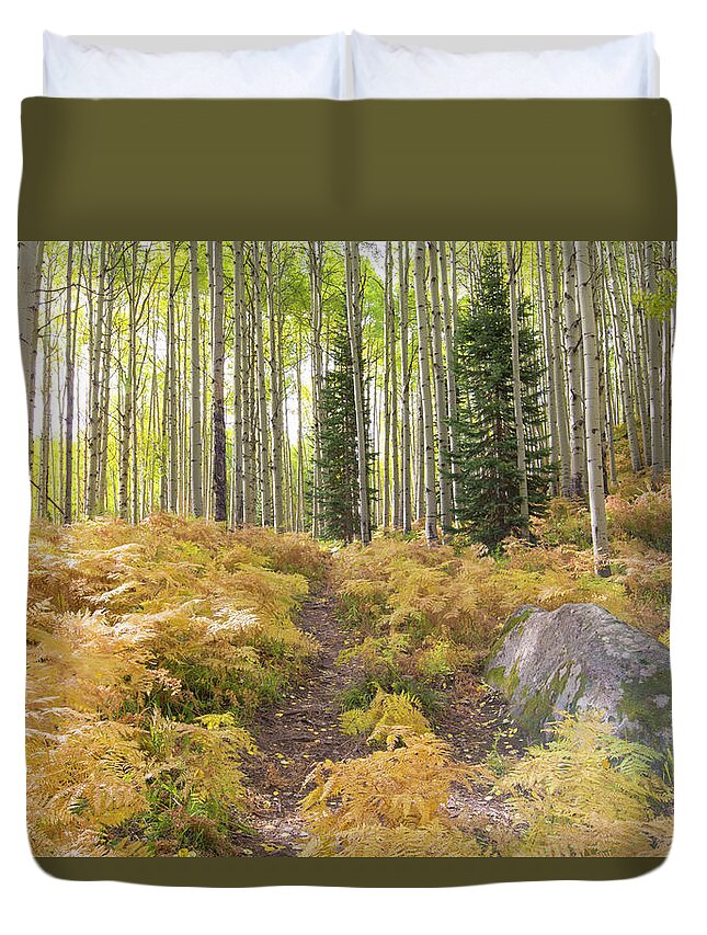 Ferns Duvet Cover featuring the photograph Fern Path by Nancy Dunivin