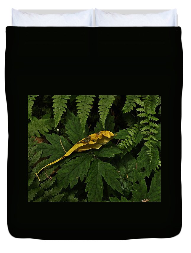 Nature Duvet Cover featuring the photograph Ferns and Drying Leaf by Charles Lucas