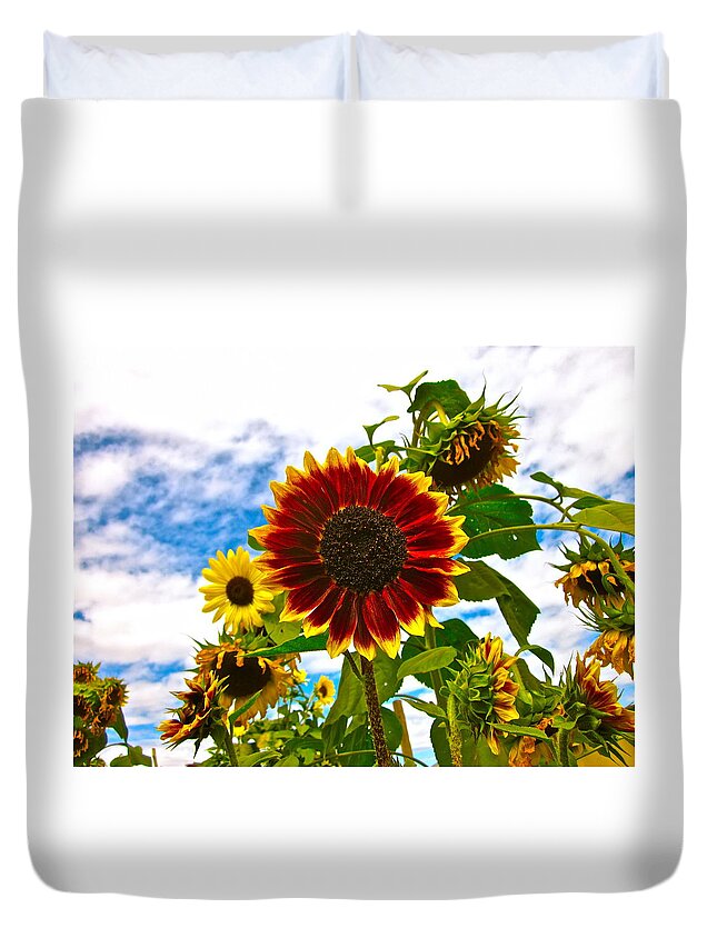 Sunflower Photograph Duvet Cover featuring the photograph Field Day by Gwyn Newcombe