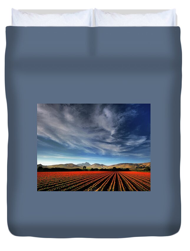 Landscape Duvet Cover featuring the photograph Field of Color by Beth Sargent