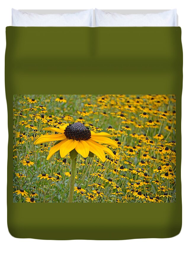 Coneflowers Duvet Cover featuring the photograph Field of Coneflowers by Sandi OReilly
