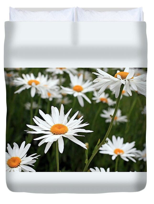 Fresh Duvet Cover featuring the photograph Field of Daisies by Dorothy Cunningham