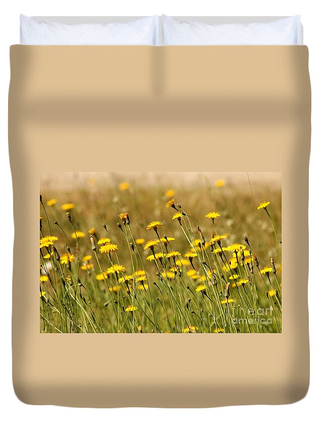 Dandelions Duvet Cover featuring the photograph Field of Dandelions by Leone Lund