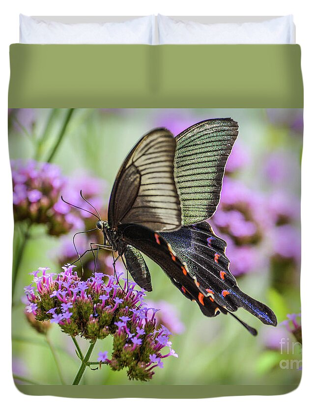 Butterfly Duvet Cover featuring the photograph Field of Dreams by Lisa Kilby