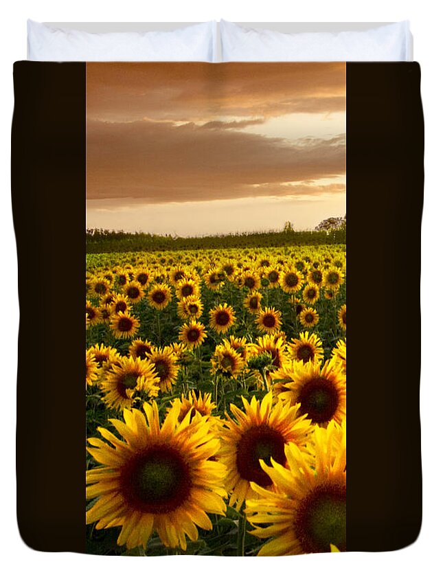 American Duvet Cover featuring the photograph Fields of Gold Triptek Left Side by Debra and Dave Vanderlaan