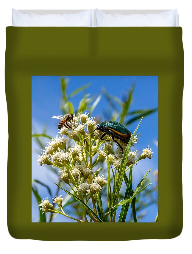 Fig Beetle Duvet Cover featuring the photograph Fig Beetle by Pamela Newcomb