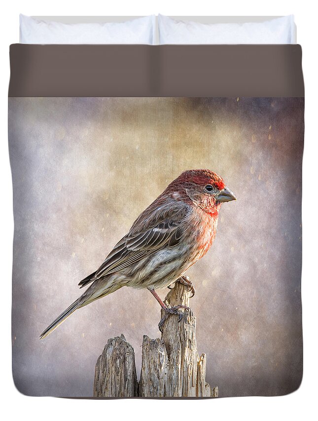 Chordata Duvet Cover featuring the photograph Finch Posted On Top by Bill and Linda Tiepelman