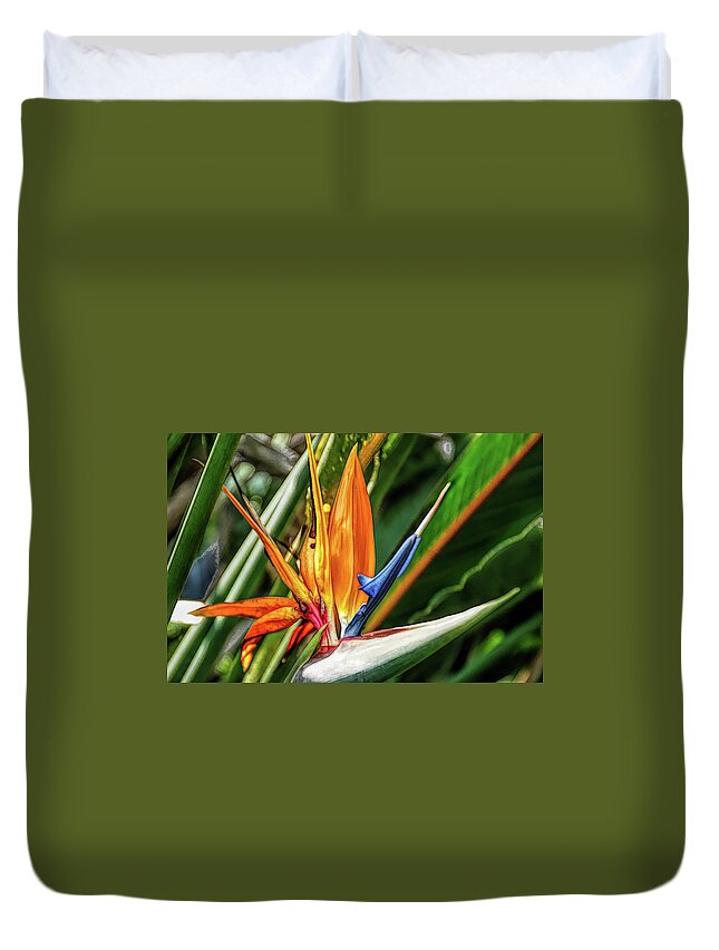 Flower Duvet Cover featuring the photograph Fine Wine Cafe Bird of Paradise by Aimee L Maher ALM GALLERY