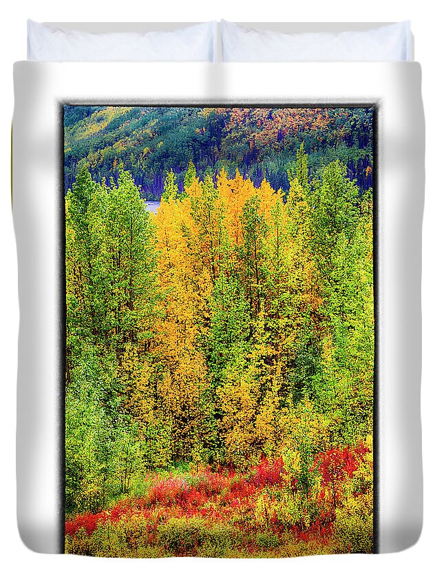 Alaska Duvet Cover featuring the photograph Fireweed by R Thomas Berner