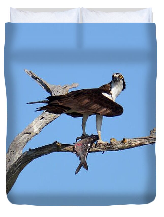 Osprey Duvet Cover featuring the photograph First Catch of the Day by Carol Bradley