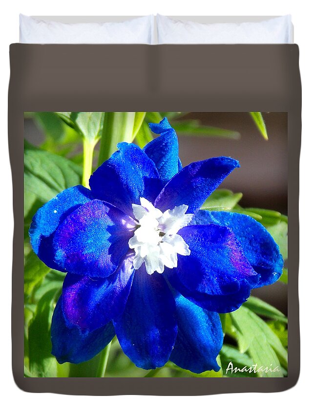 Blue Delphinium Duvet Cover featuring the photograph First Delphinium Agape Gardens by Anastasia Savage Ealy