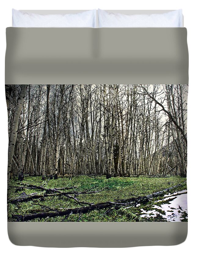 First Duvet Cover featuring the photograph First Snow by Danielle Basler