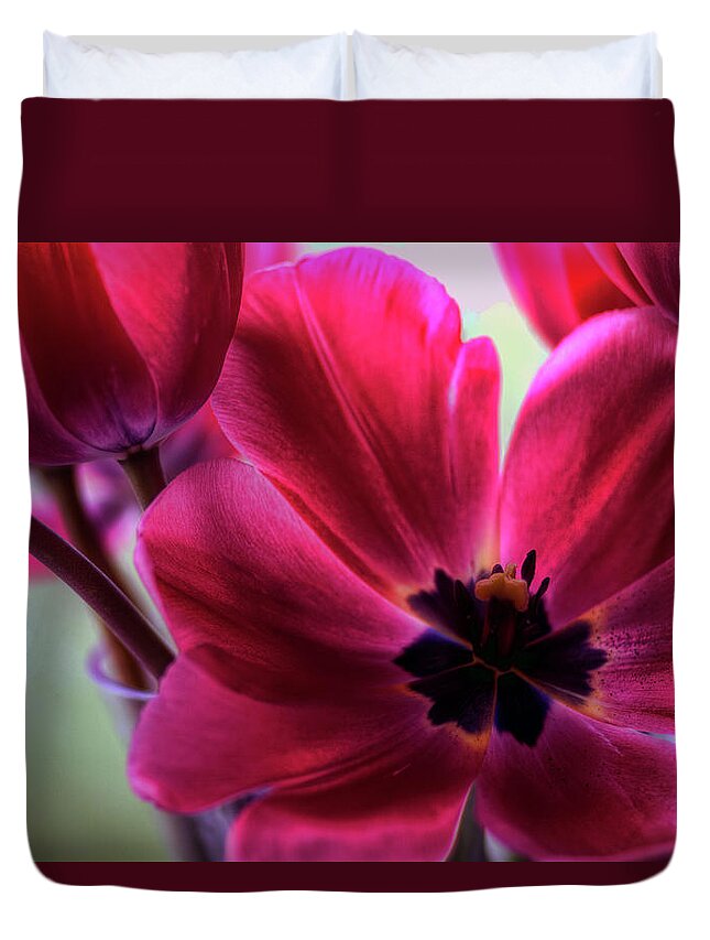 Hdr Duvet Cover featuring the photograph First to Wake by Brad Granger