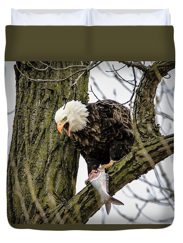 Bald Eagle Duvet Cover featuring the photograph Fish For Dinner by Ray Congrove