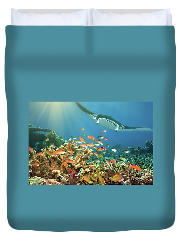 Reef Duvet Cover featuring the photograph Fishes and manta ray by MotHaiBaPhoto Prints