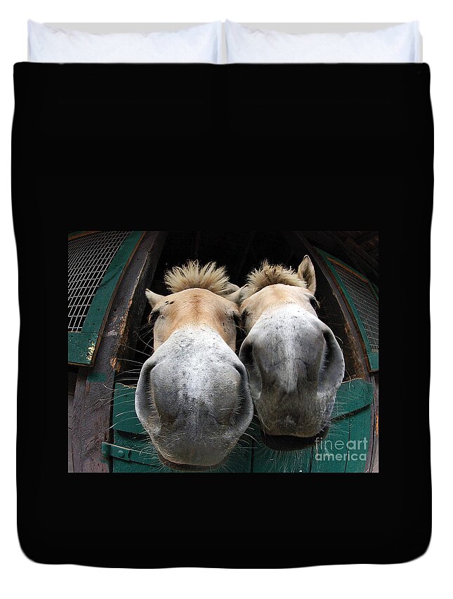 Fjord Horses Duvet Cover featuring the photograph Fjord Horse Noses by Carien Schippers