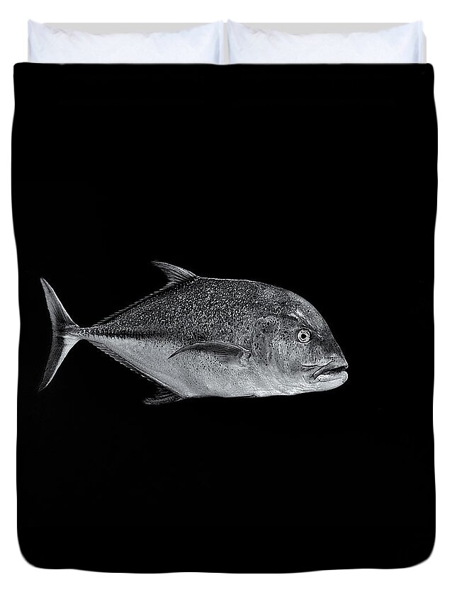 Marine Life Duvet Cover featuring the photograph FLA-150811-ND800E-26052-bw-selenium by Fernando Lopez Arbarello