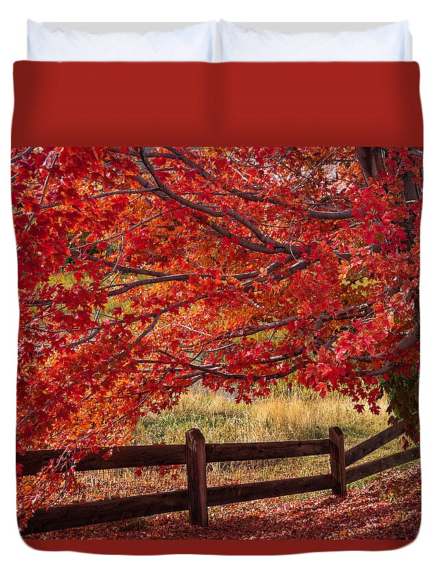 Autumn Duvet Cover featuring the photograph Flames on the Fence by Darren White