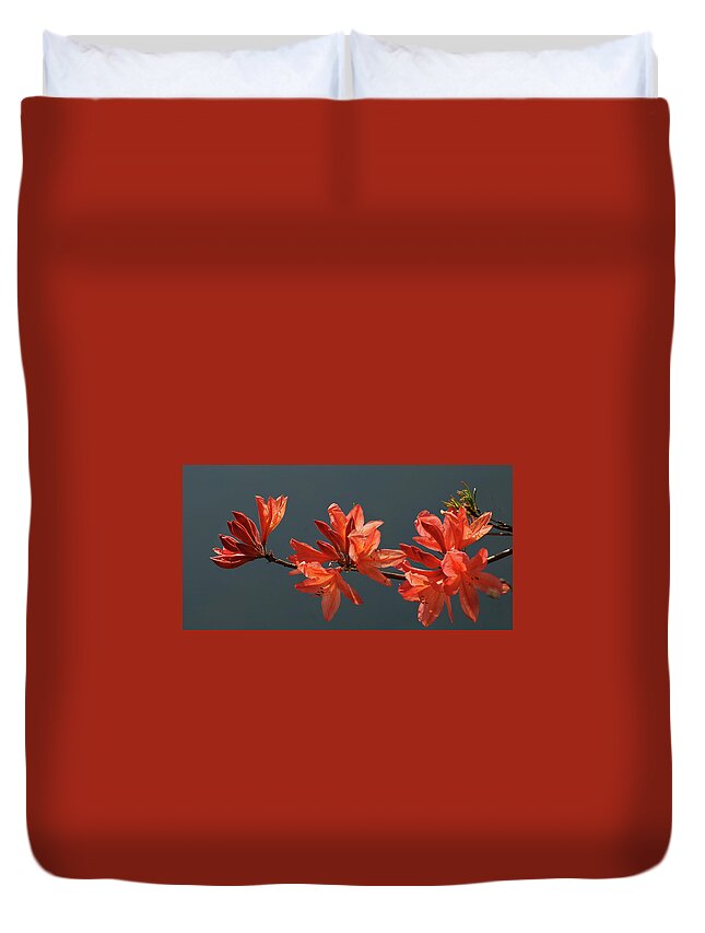Azalea Duvet Cover featuring the photograph Flaming Azalea by Jerry Griffin