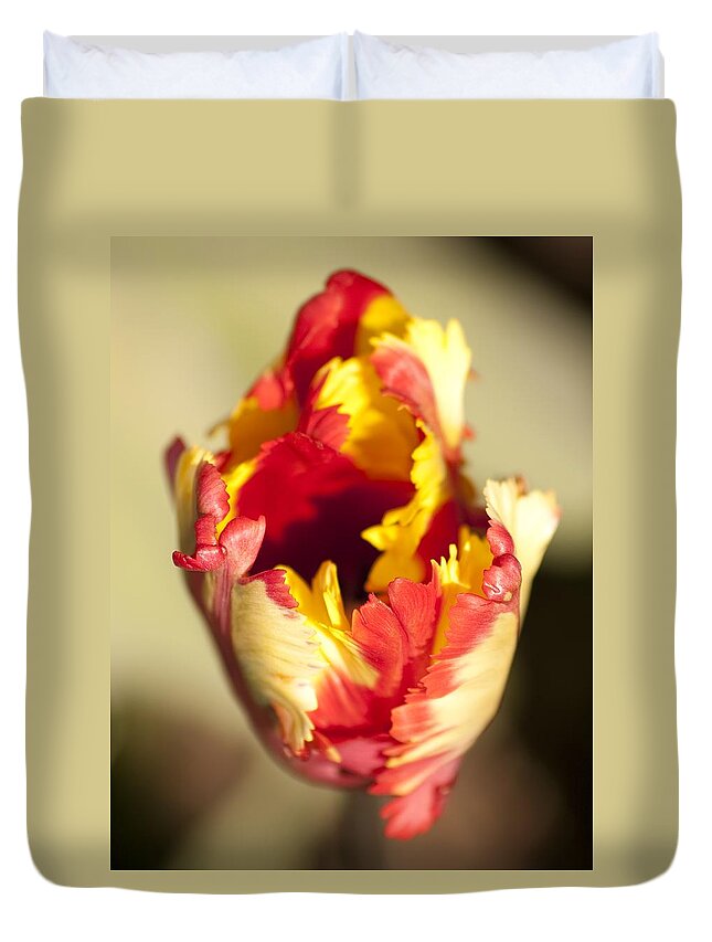 Flaming Parrot Tulip Duvet Cover featuring the photograph Flaming Parrot by Brad Granger