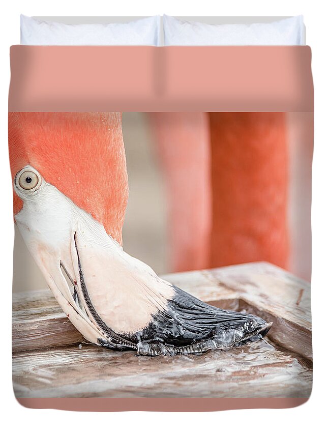 Architecture Duvet Cover featuring the photograph Flamingo at Sea World in Orlando Florida by Peter Ciro