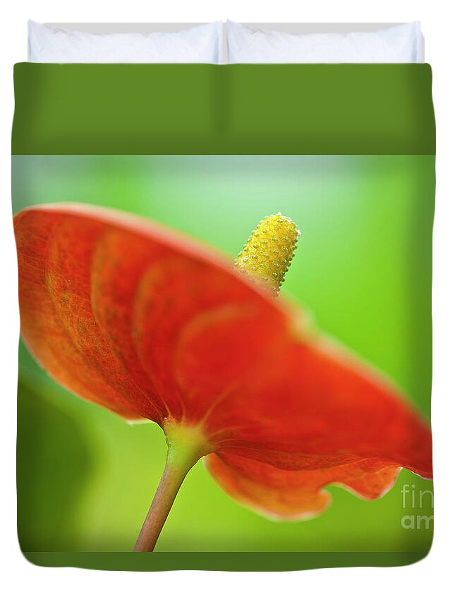 Anthurie Duvet Cover featuring the photograph Flamingo Flower 2 by Heiko Koehrer-Wagner