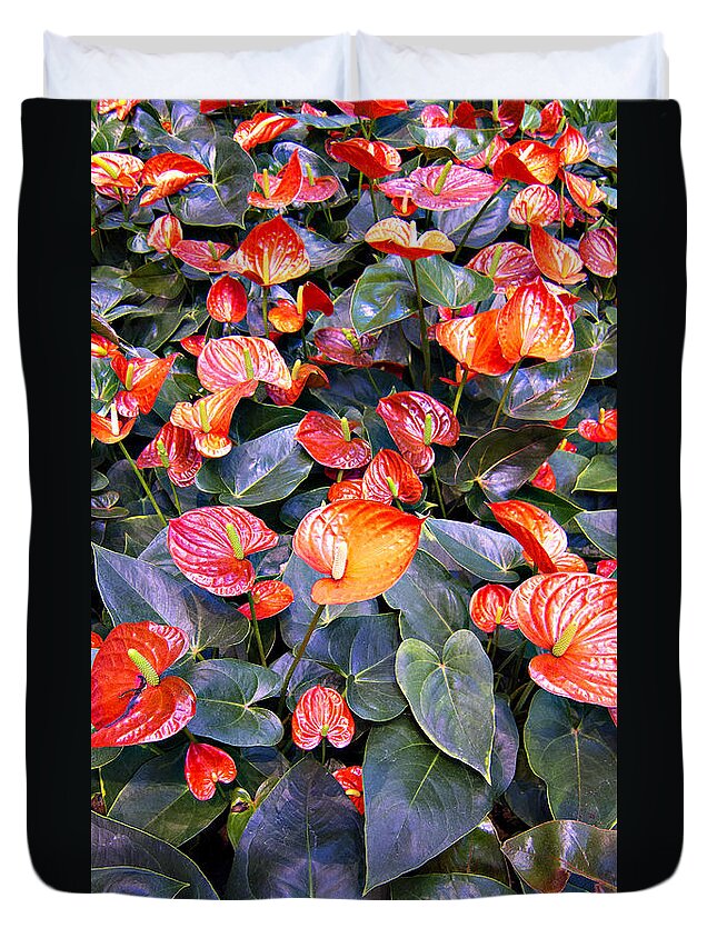 Flamingo Flower Bed Duvet Cover featuring the photograph Flamingo Flower Bed by Douglas Barnard