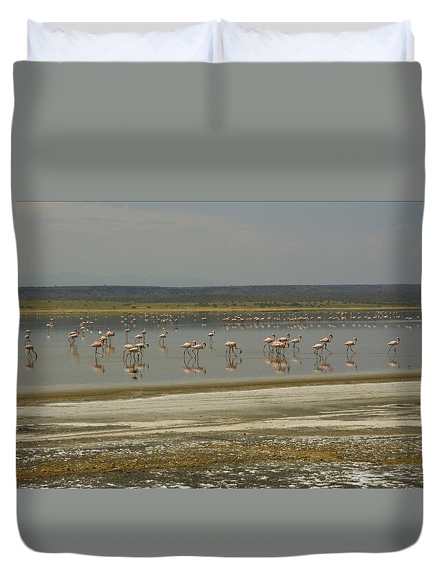 Birds Duvet Cover featuring the photograph Flamingos Magadi hot springs Kenya by Patrick Kain