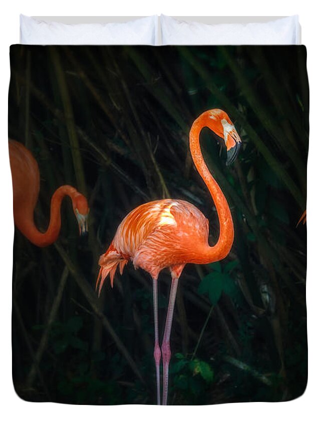 Critter Duvet Cover featuring the photograph Flamingo Spotlight by Sylvia J Zarco