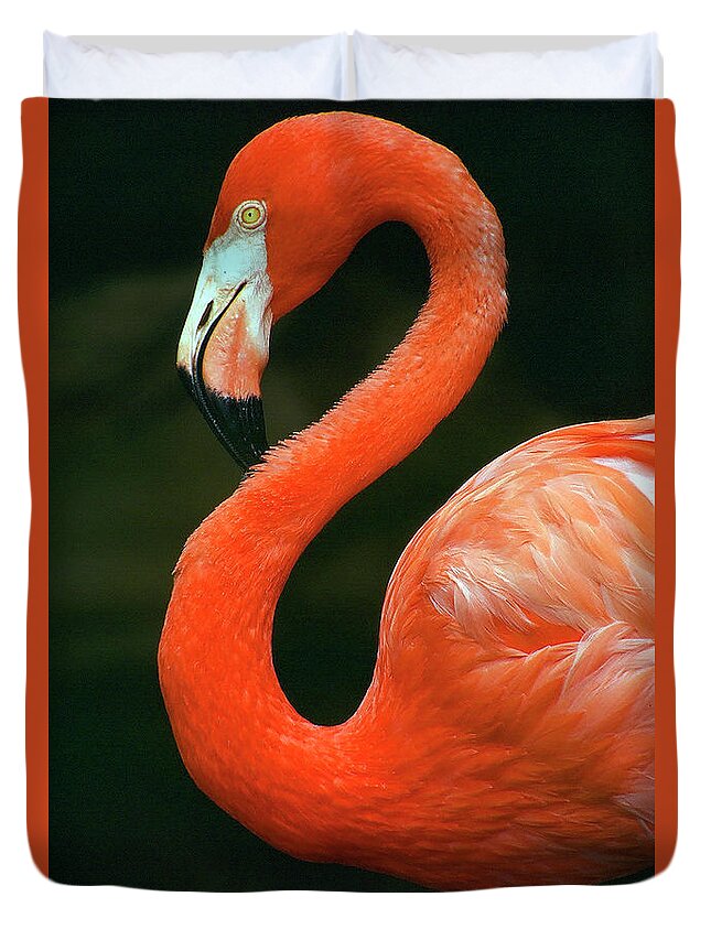 Flamingo Duvet Cover featuring the photograph Flamingo by Ted Keller