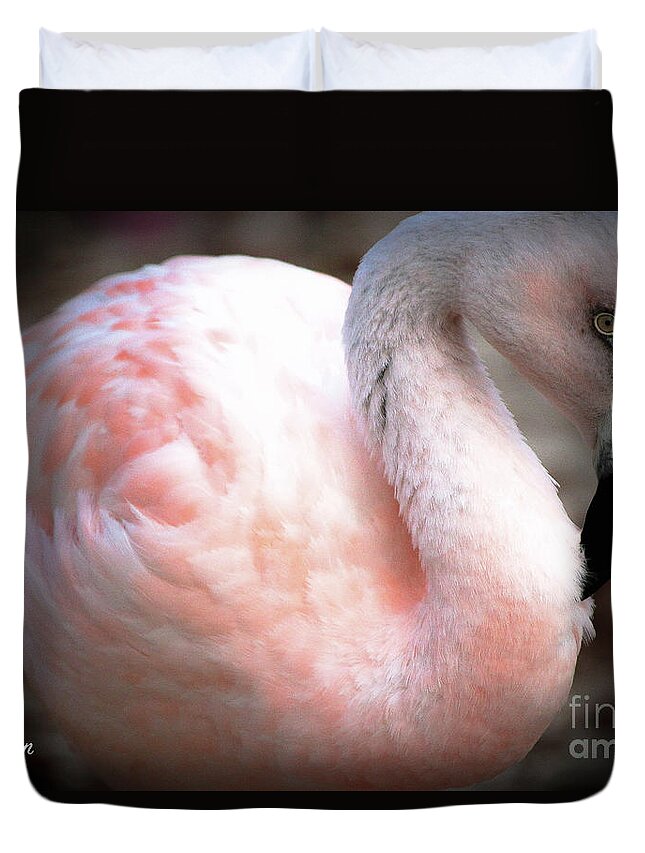 Flamingo Duvet Cover featuring the photograph Flamingo Two Memphis Zoo by Veronica Batterson