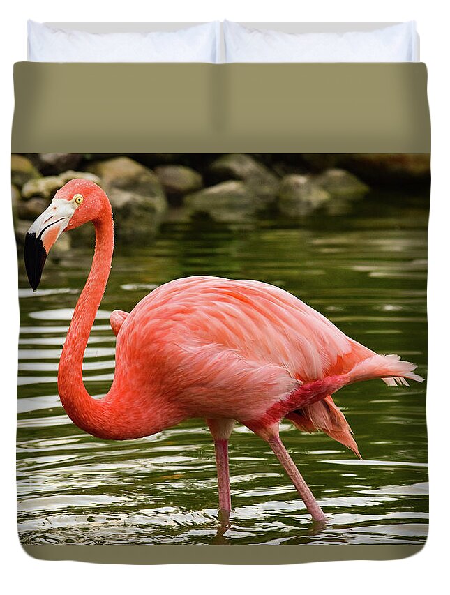 Flamingo Duvet Cover featuring the photograph Flamingo Wades by Nicole Lloyd